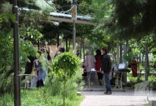 گزارش تصویری اردوی فرهنگی حامیم دختران 